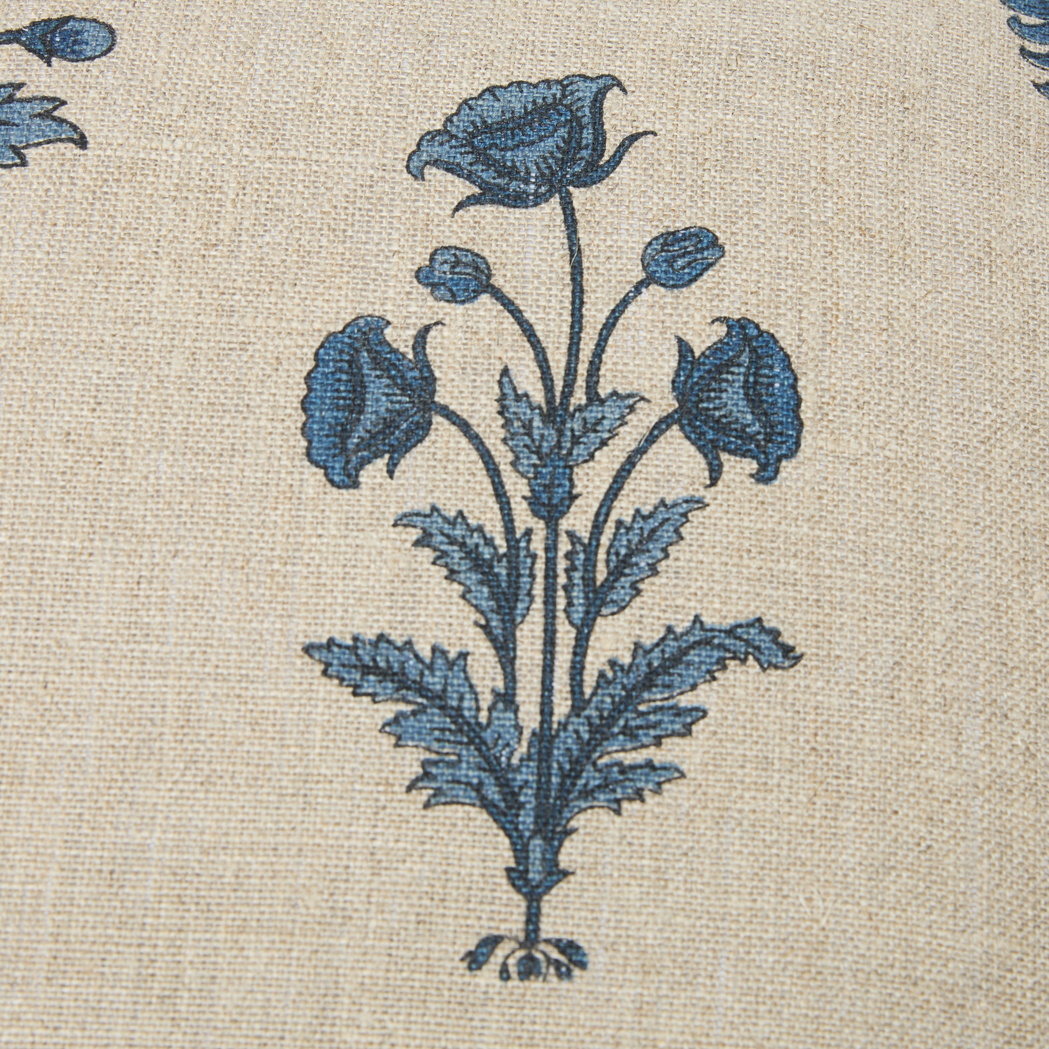 Botanical Print Cushion Cover 22" x 22"