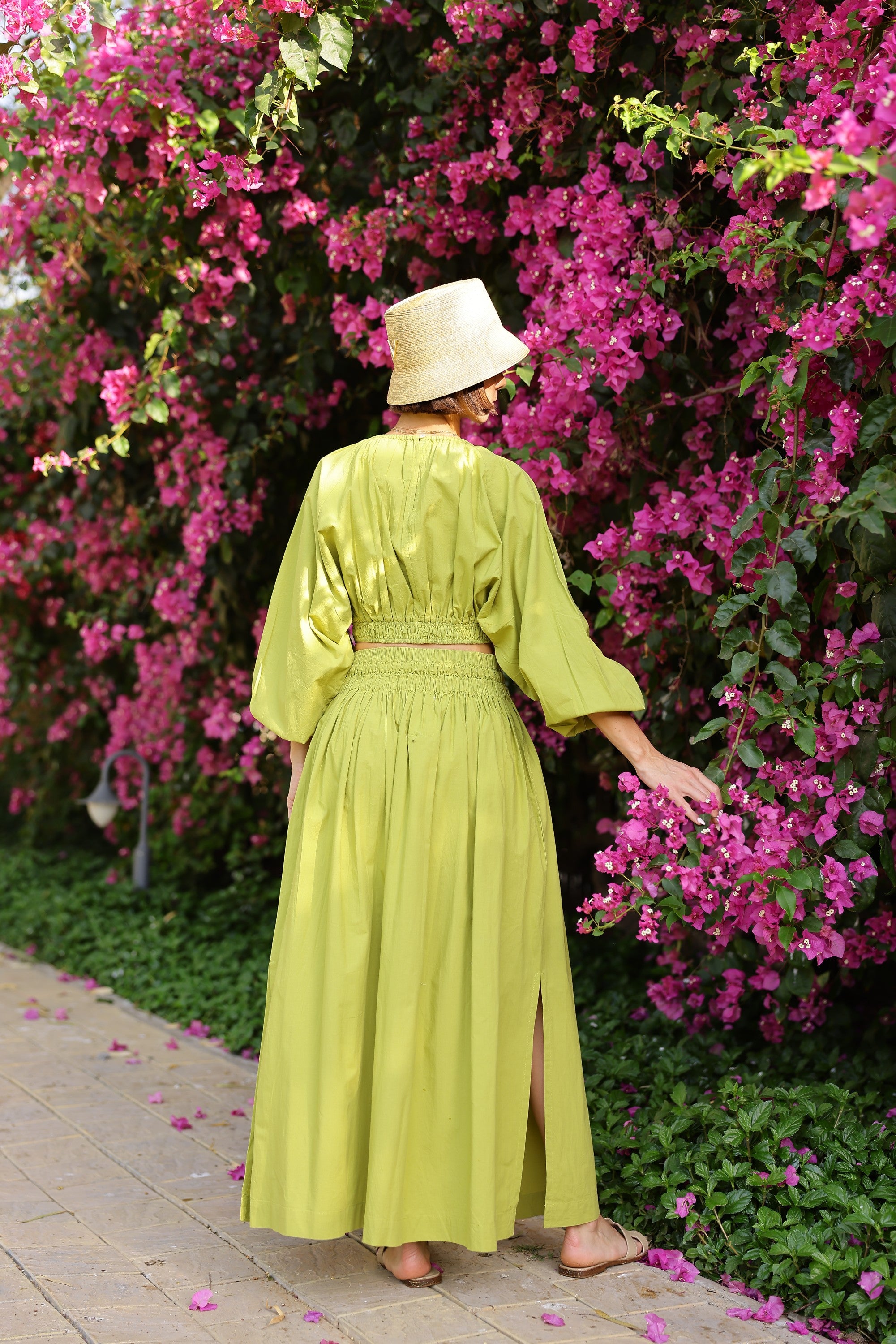 #color_sweet lime