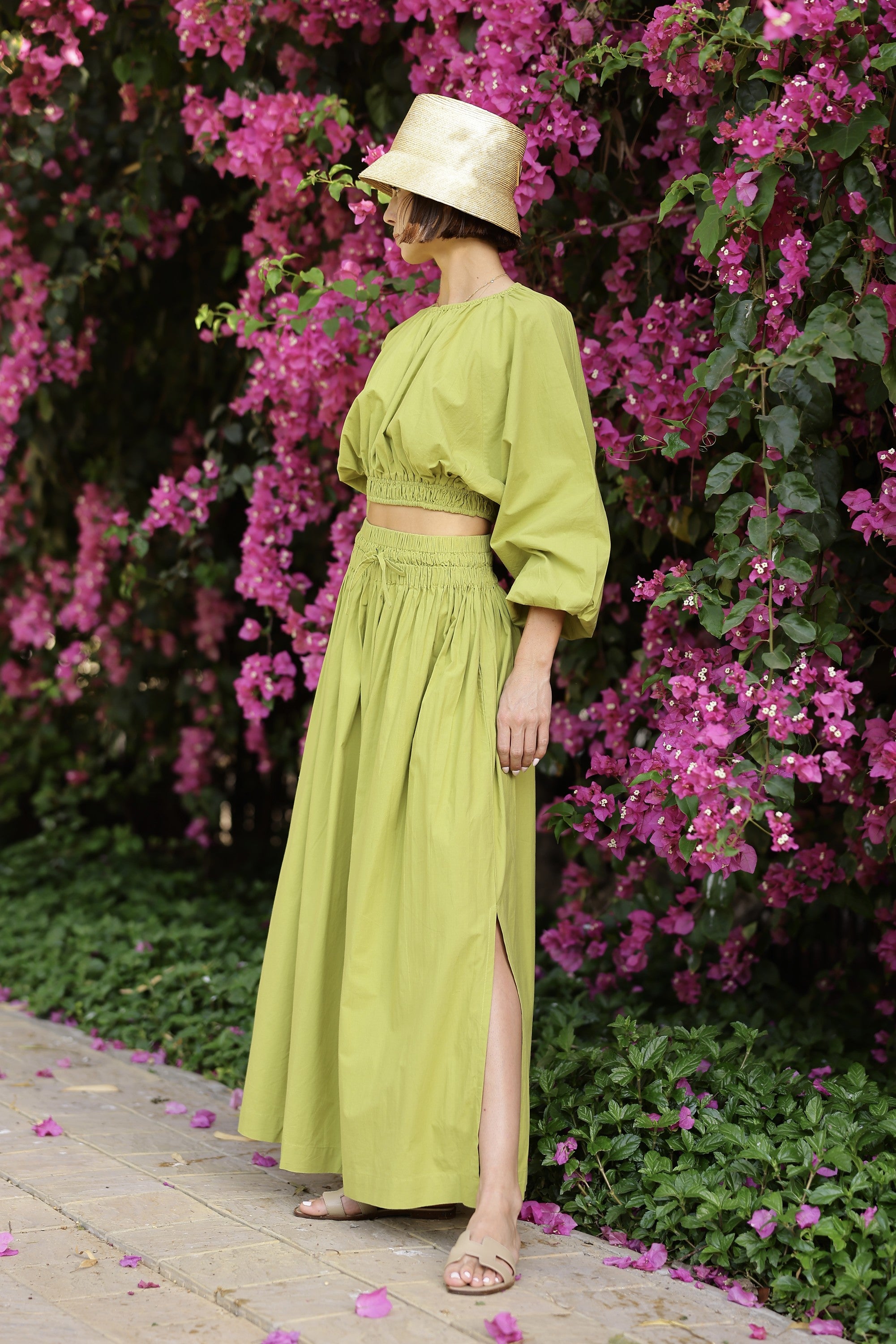 #color_sweet lime