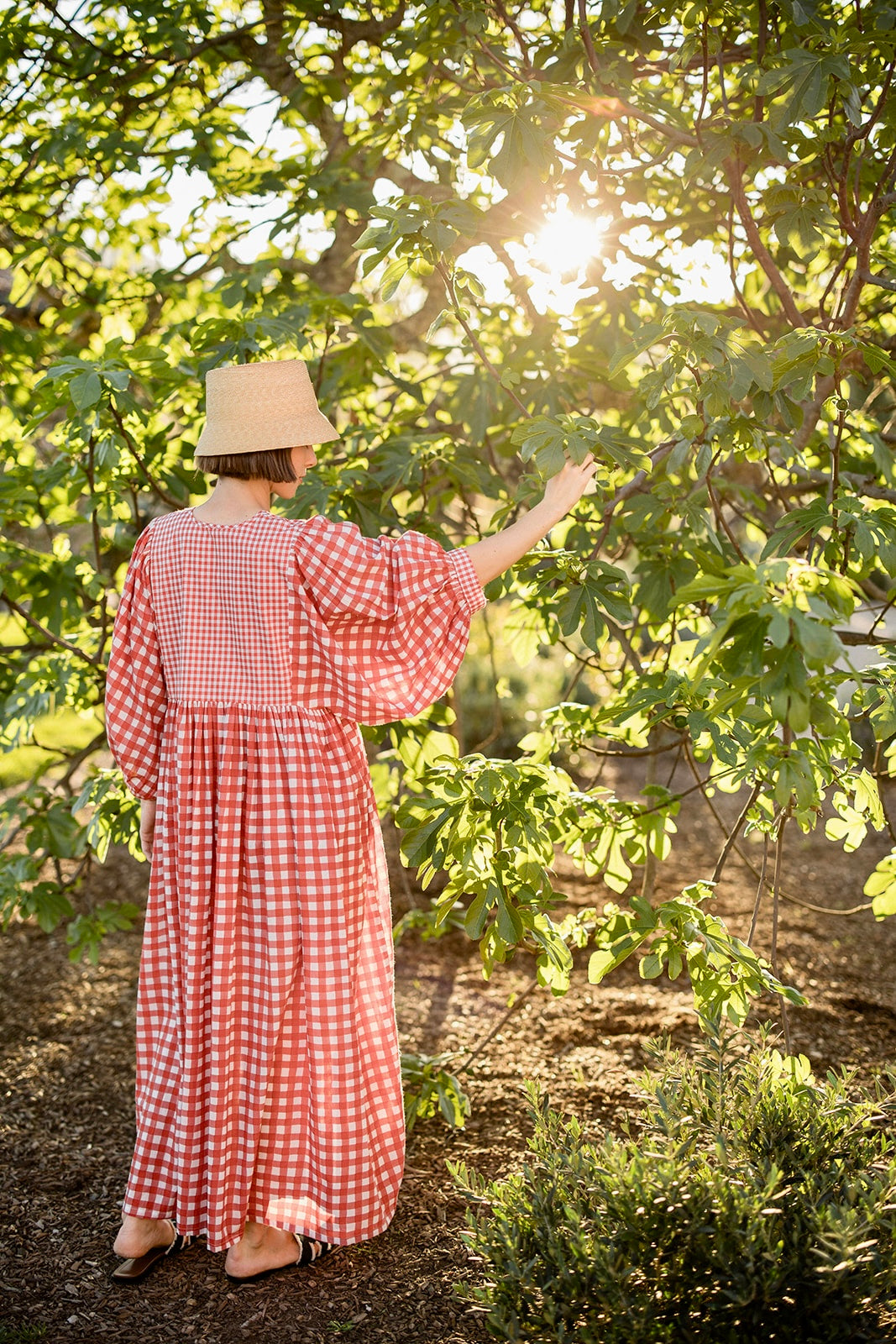 #color_Reg Gingham